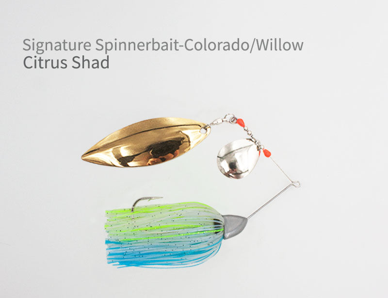 Signature Spinnerbait - Colorado/Willow