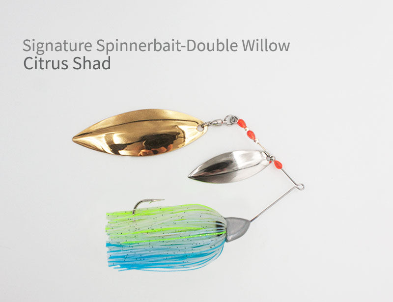 Signature Spinnerbait - Double Willow
