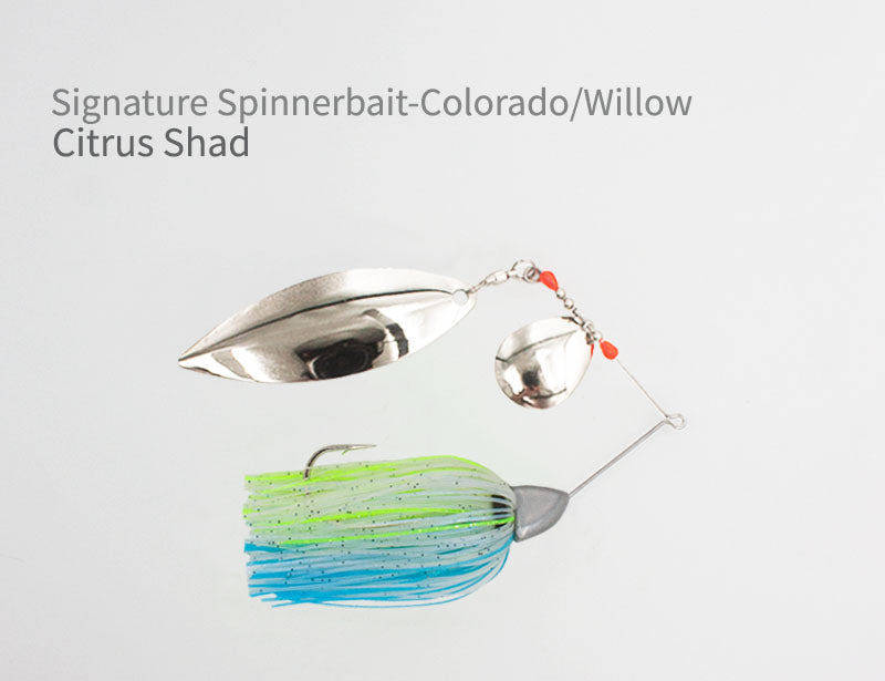 Signature Spinnerbait - Colorado/Willow