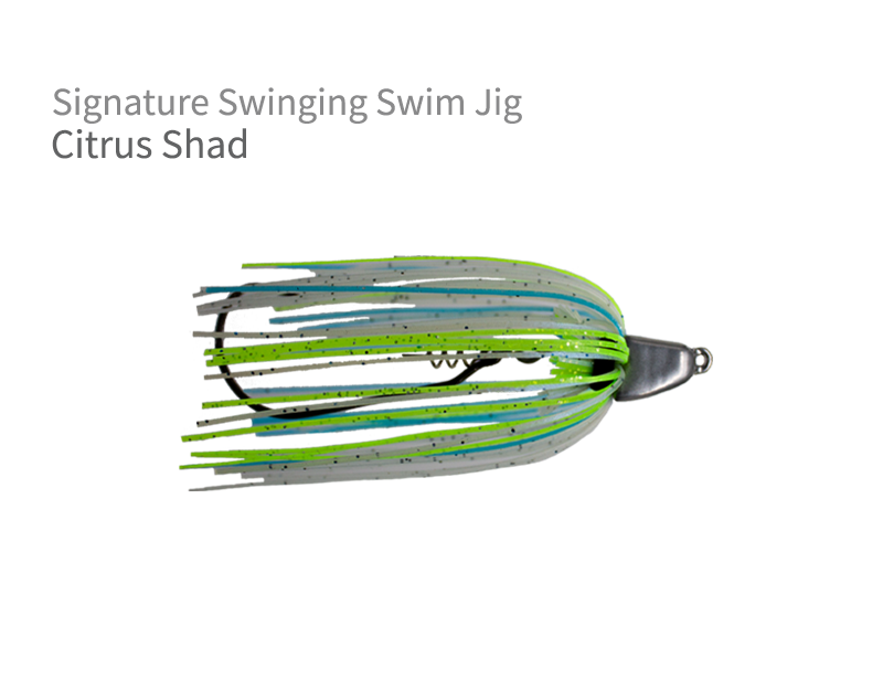 Signature Swinging Swim Jig
