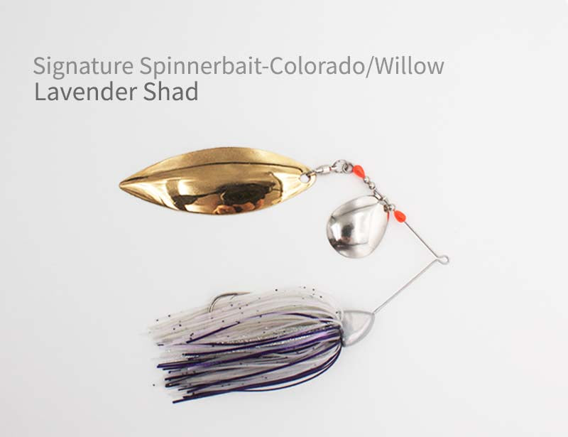 Signature Spinnerbait - Colorado/Willow
